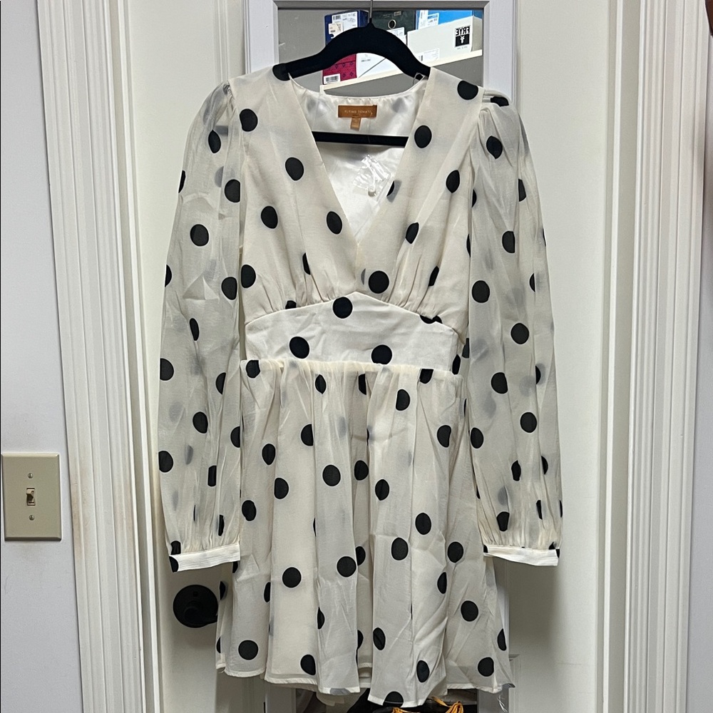 Polka Dot Boutique Dress with Sheer sleeves